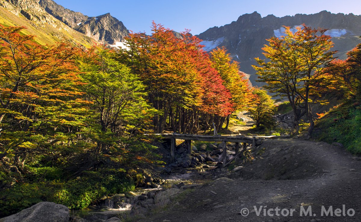 Hacia el Glaciar Martial