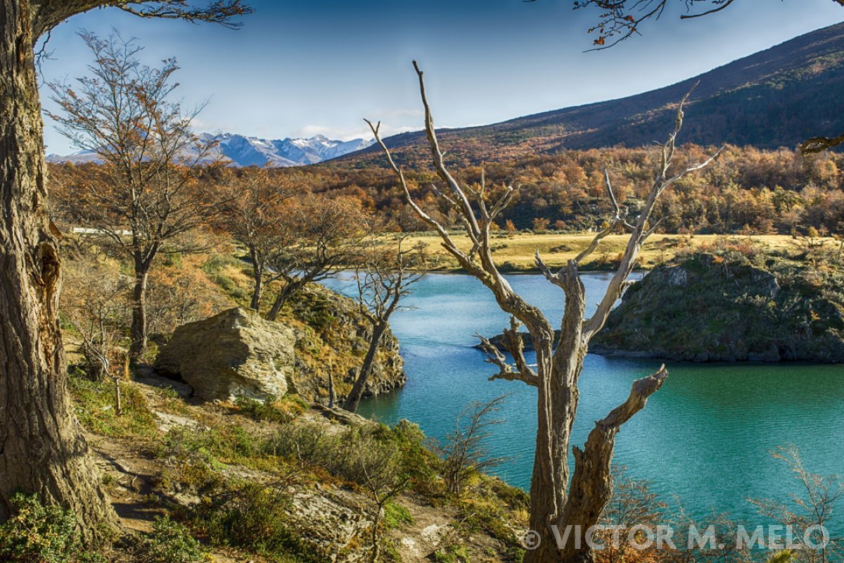 Parque Nacional de Tierra de Fuego - Laguna Verde