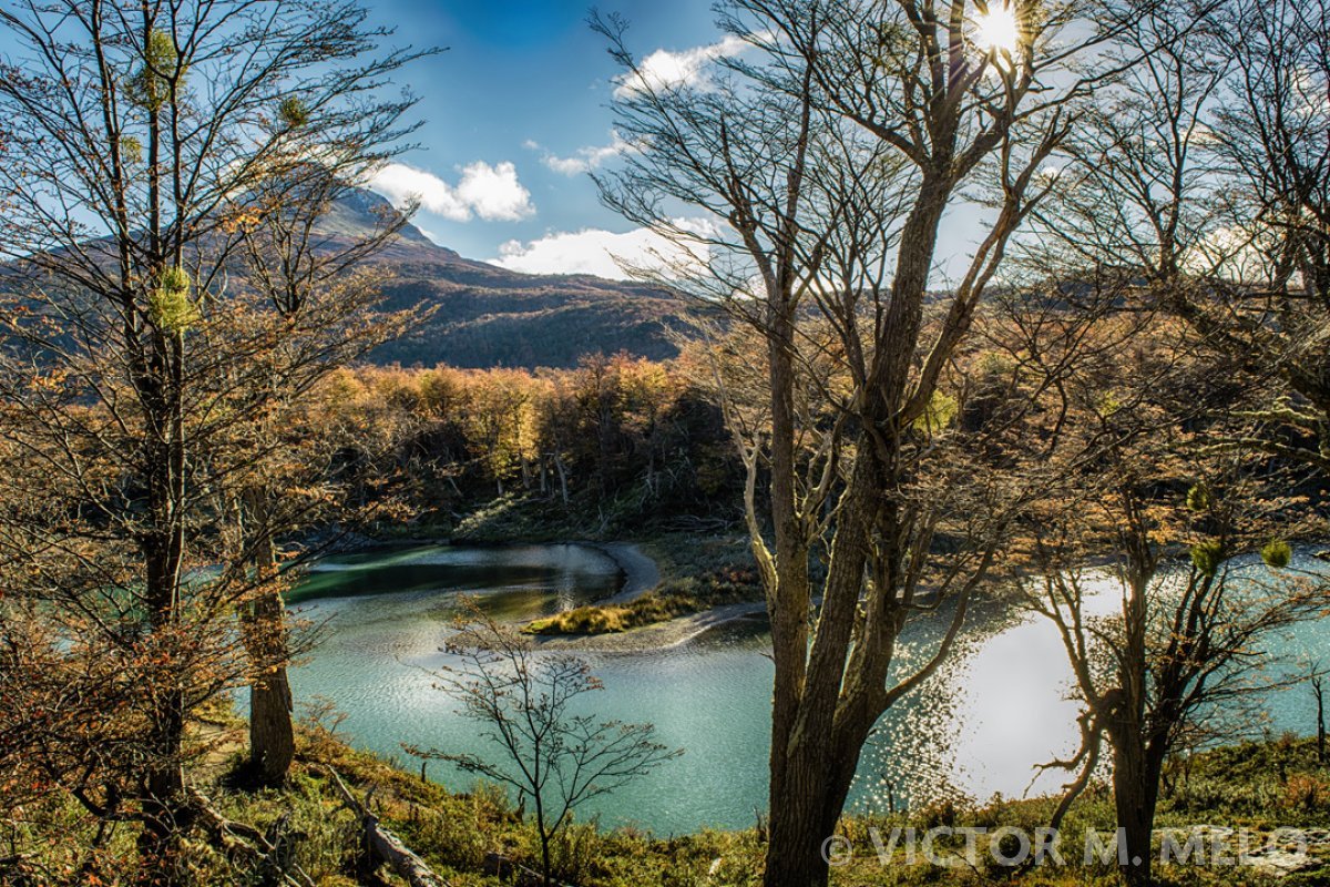 Parque Nacional de Tierra de Fuego - Laguna Verde